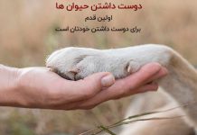 متن زیبا در مورد محبت و عشق به حیوانات