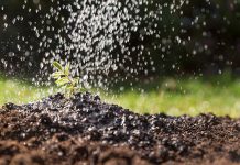 انشا در مورد بوی خاک پس از باران
