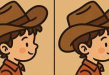 بازی فکری : 3 تفاوت تصویر پسرک کاوبوی کجاست؟