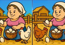 بازی فکری : 3 تفاوت تصویر خانم روستایی کجاست؟