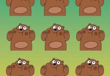 بازی فکری : خرس متفاوت کدام است؟