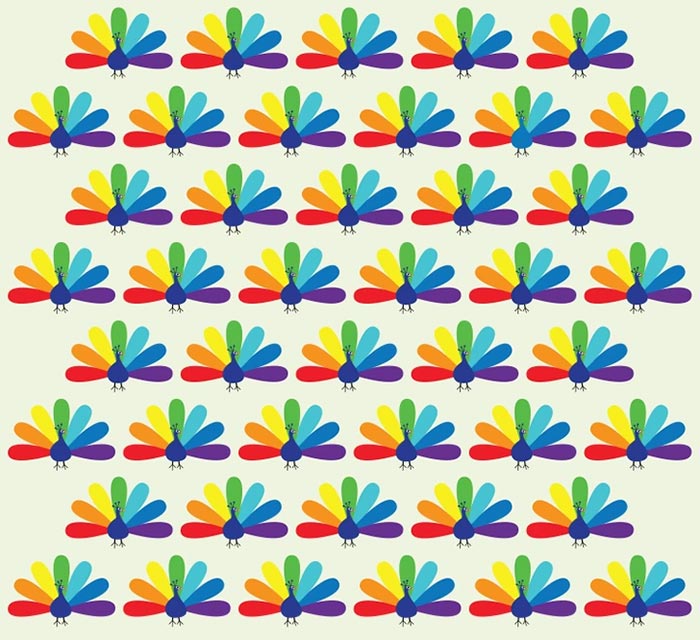 بازی فکری : طاووس متفاوت کجاست؟