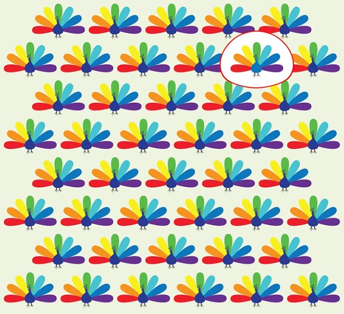 بازی فکری : طاووس متفاوت کجاست؟