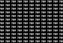 بازی فکری : عدد 739 کجاست؟