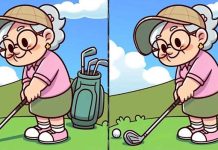 بازی فکری : 3 تفاوت تصویر پیرزن گلف باز کجاست؟