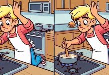 بازی فکری : 3 تفاوت تصویر آقای آشپزباشی کجاست؟