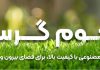 مرکز خرید چمن مصنوعی